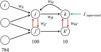 Recurrent Spiking Neural Network Learning Based on a Competitive Maximization of Neuronal Activity